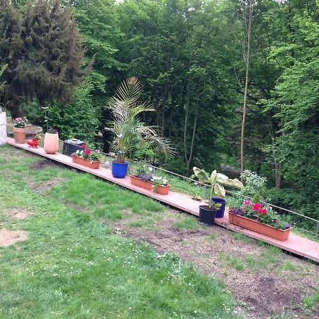 Schoene Ferienwohnung Dg Eisenach Dış mekan fotoğraf