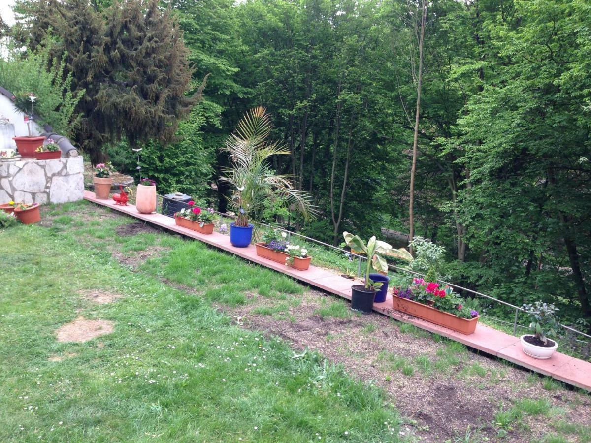 Schoene Ferienwohnung Dg Eisenach Dış mekan fotoğraf